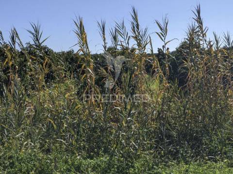 Terreno misto e ruína em vila nova de cacela, constroi 300m2