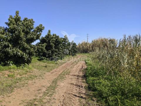 Terreno misto e ruína em vila nova de cacela, constroi 300m2