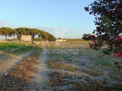 Terreno com 13.245 em alcochete