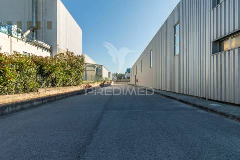 Pavilhão  industrial