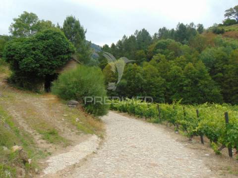 Quinta c/ vinha em produção em santa marta de penaguião