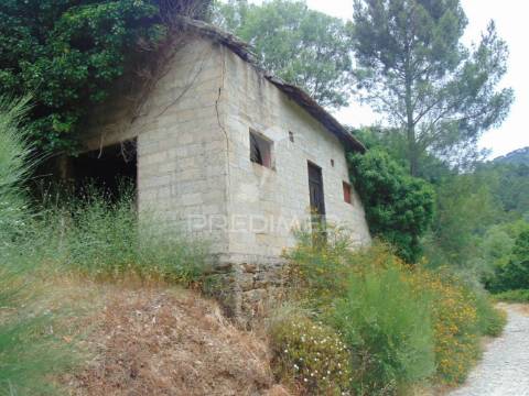 Quinta c/ vinha em produção em santa marta de penaguião