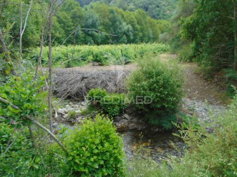 Quinta c/ vinha em produção em santa marta de penaguião