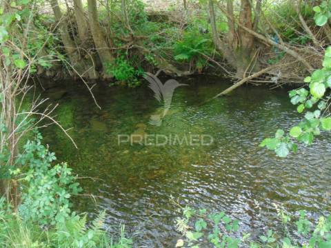 Quinta c/ vinha em produção em santa marta de penaguião
