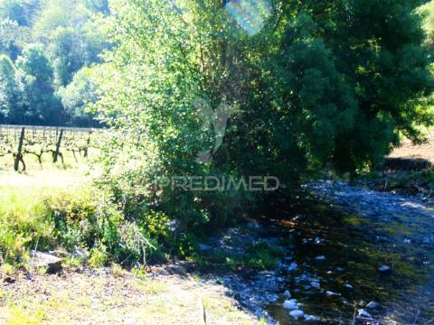 Quinta c/ vinha em produção em santa marta de penaguião