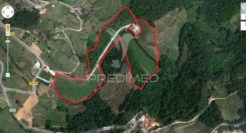 Quinta c/ vinha em produção em santa marta de penaguião