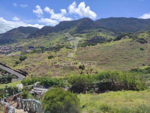 Terreno com 50 hectares situado no caniçal