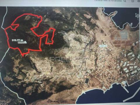 Terreno com 50 hectares situado no caniçal