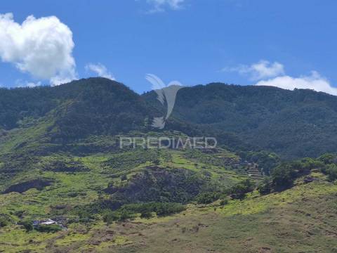 Terreno com 50 hectares situado no caniçal