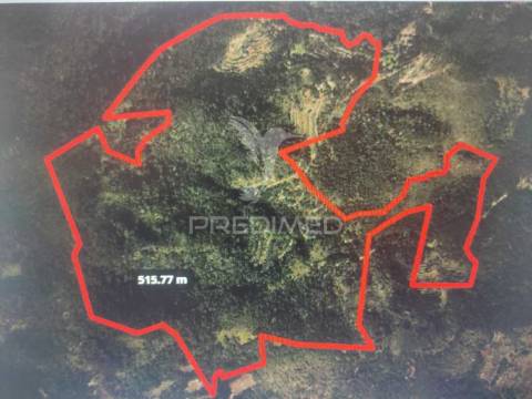 Terreno com 50 hectares situado no caniçal