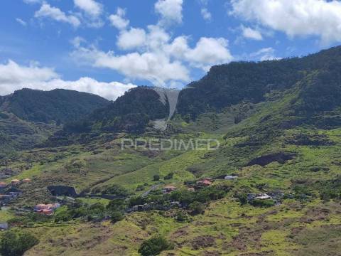 Terreno com 50 hectares situado no caniçal