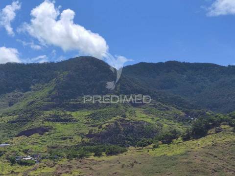 Terreno com 50 hectares situado no caniçal