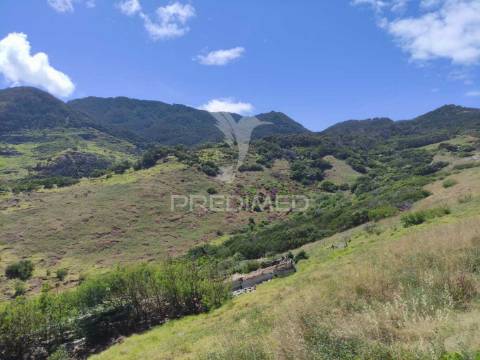 Terreno com 50 hectares situado no caniçal