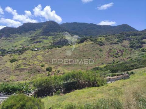 Terreno com 50 hectares situado no caniçal