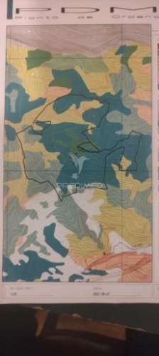 Terreno com 50 hectares situado no caniçal