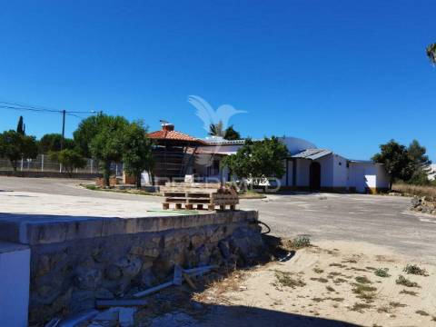 Quinta com várias casas e armazém, bugalhos / alcanena