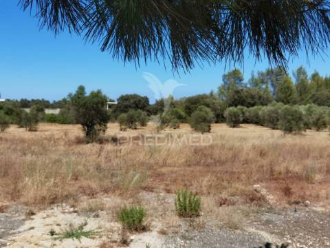 Quinta com várias casas e armazém, bugalhos / alcanena