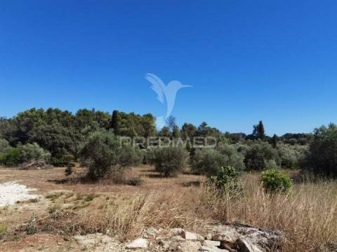 Quinta com várias casas e armazém, bugalhos / alcanena