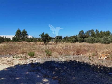 Quinta com várias casas e armazém, bugalhos / alcanena