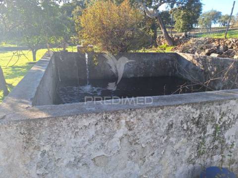 Quinta em vale de cavalos