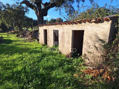 Quinta em vale de cavalos