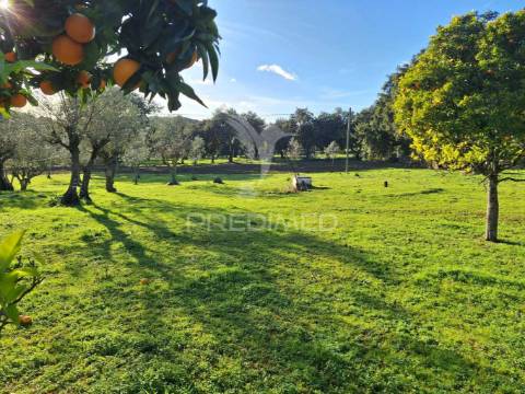 Quinta em vale de cavalos