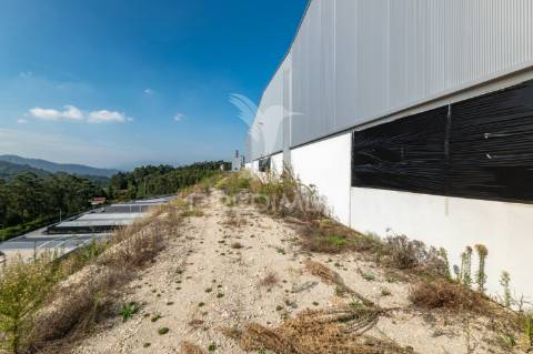 Pavilhão industrial com 2416m2.