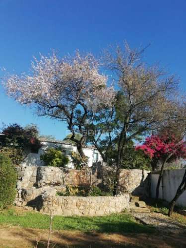 Tavira - terreno com moradia / land with house