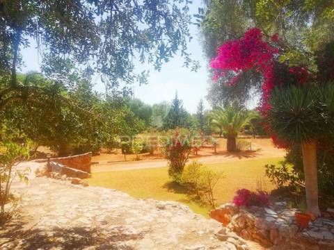 Tavira - terreno com moradia / land with house