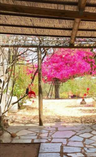 Tavira - terreno com moradia / land with house