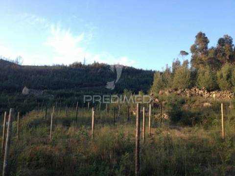 Terreno cabeceiras de basto