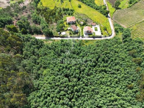 Terreno cabeceiras de basto