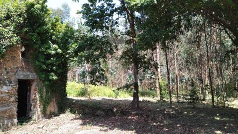 Terreno urbanizável de 4514m² – perto do rio alfusqueiro