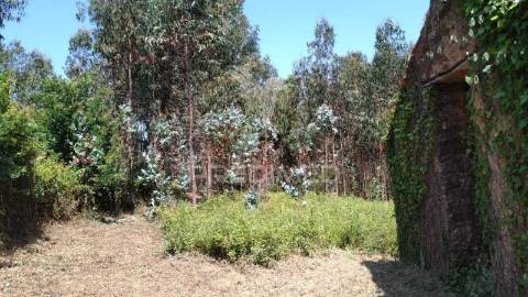 Terreno urbanizável de 4514m² – perto do rio alfusqueiro