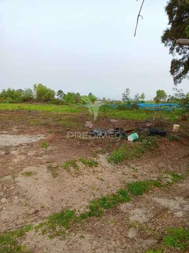 Terreno para possivel atividade industrial - sobreiro