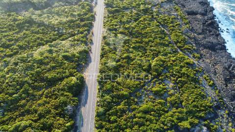 Terreno, para venda, no cachorro, bandeiras
