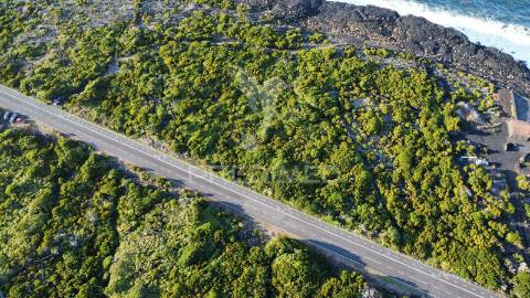 Terreno, para venda, no cachorro, bandeiras