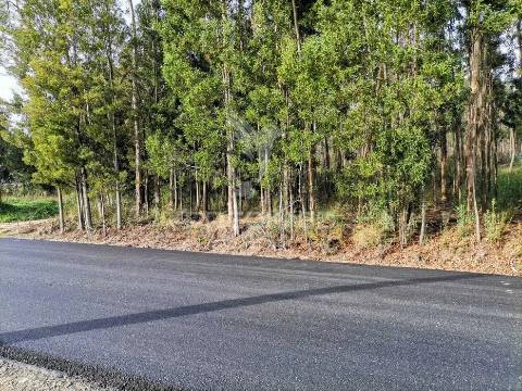 Terreno em oliveirinha (picoto)