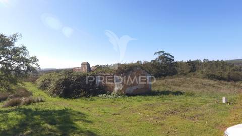 Herdade com 71 hectares e ruína de 174m2