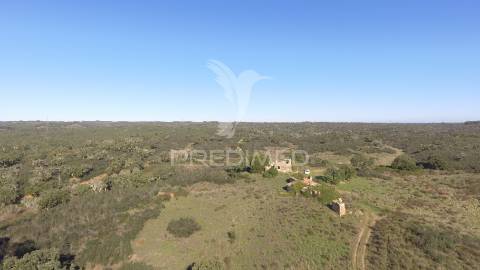 Herdade com 71 hectares e ruína de 174m2