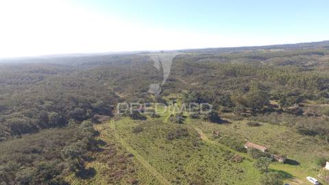 Herdade com 71 hectares e ruína de 174m2