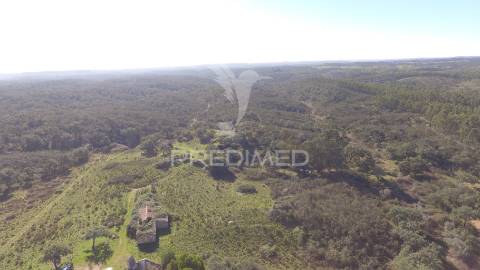 Herdade com 71 hectares e ruína de 174m2