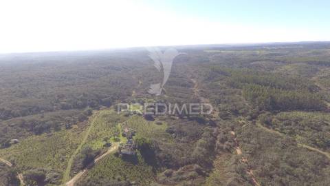 Herdade com 71 hectares e ruína de 174m2