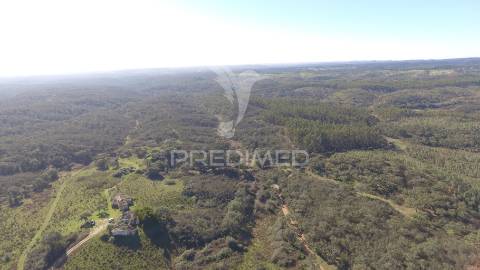 Herdade com 71 hectares e ruína de 174m2