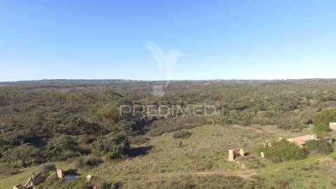 Herdade com 71 hectares e ruína de 174m2
