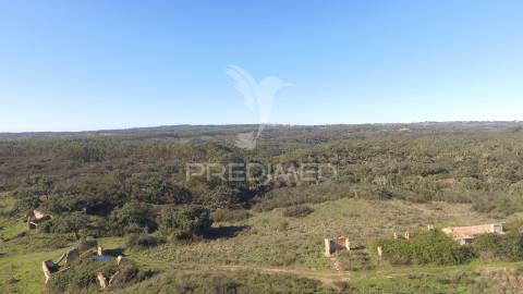 Herdade com 71 hectares e ruína de 174m2