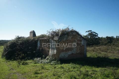 Herdade com 71 hectares e ruína de 174m2