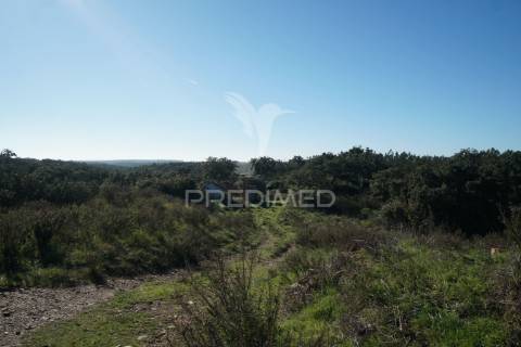 Herdade com 71 hectares e ruína de 174m2