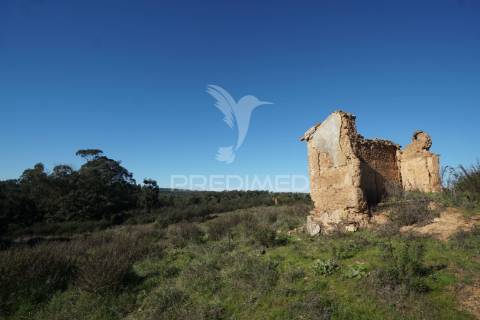 Herdade com 71 hectares e ruína de 174m2