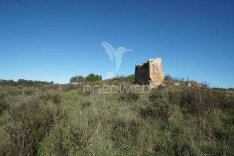 Herdade com 71 hectares e ruína de 174m2